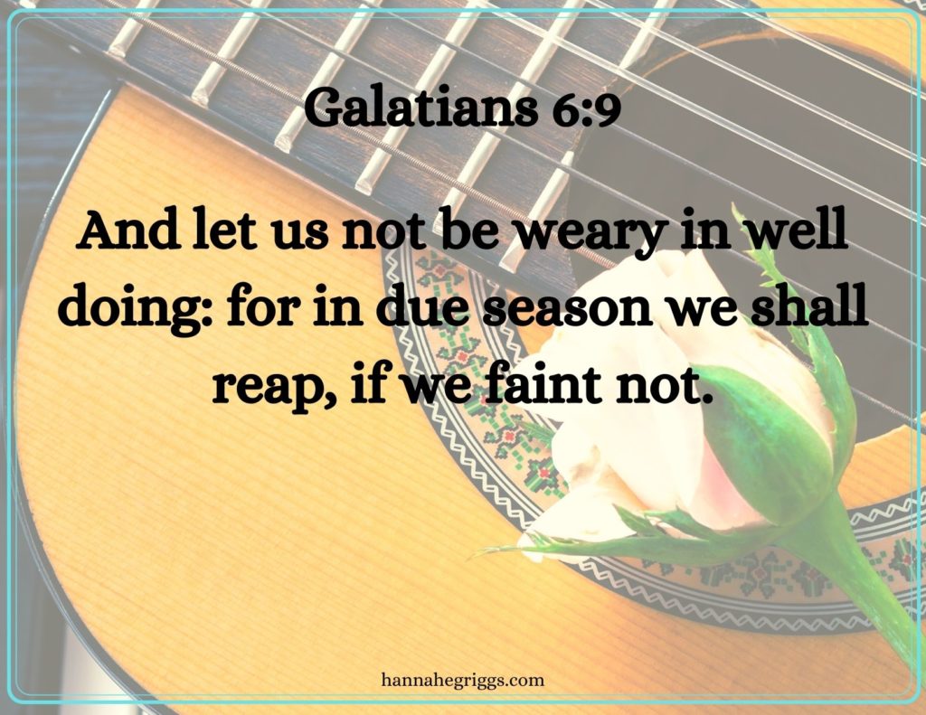 acoustic guitar and rose | galatians 6:9