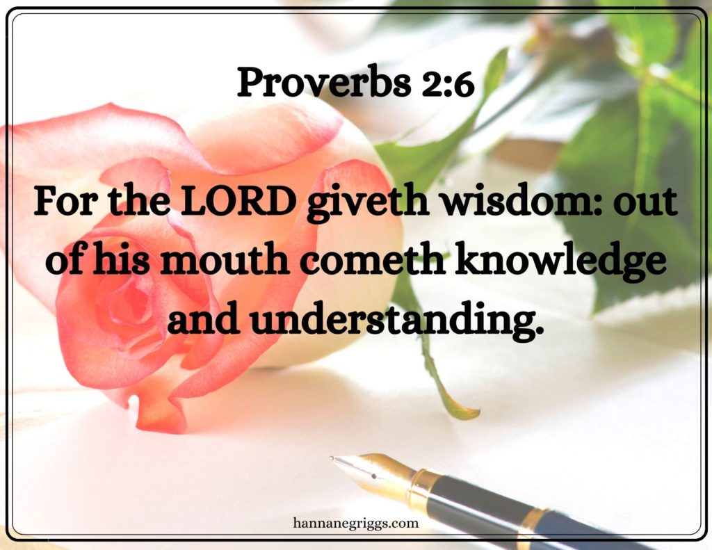 proverbs 2:6 rose on notebook and pen | are reading and writing related