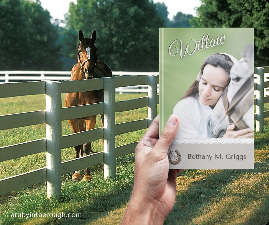hand holding Willow book in front of a horse
